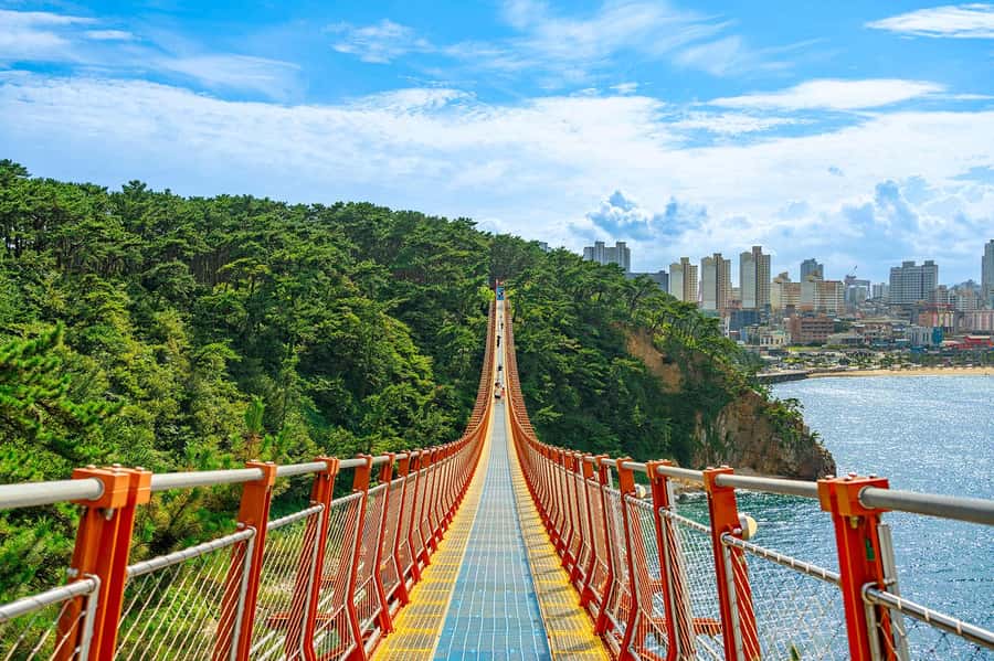 Busan: 7 Highlights Gyeongju City One Day Tour - Why Gyeongju makes sense as a day trip from Busan