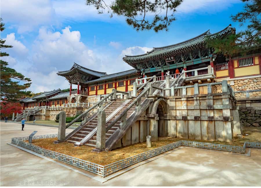 Busan: 7 Highlights Gyeongju City One Day Tour - Cheomseongdae connects the city to the stars