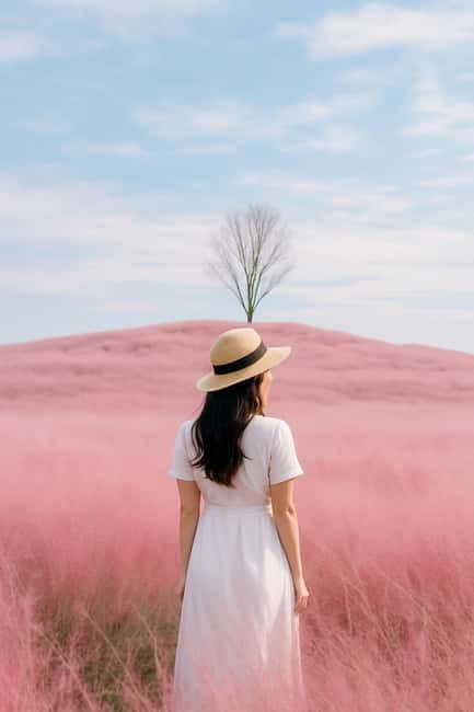Busan: Autumn Jinju Namgang Lantern Festival & Pink Muhly - Why this Busan day trip works so well