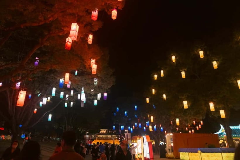 Busan: Autumn Jinju Namgang Lantern Festival & Pink Muhly - Booking and practical details