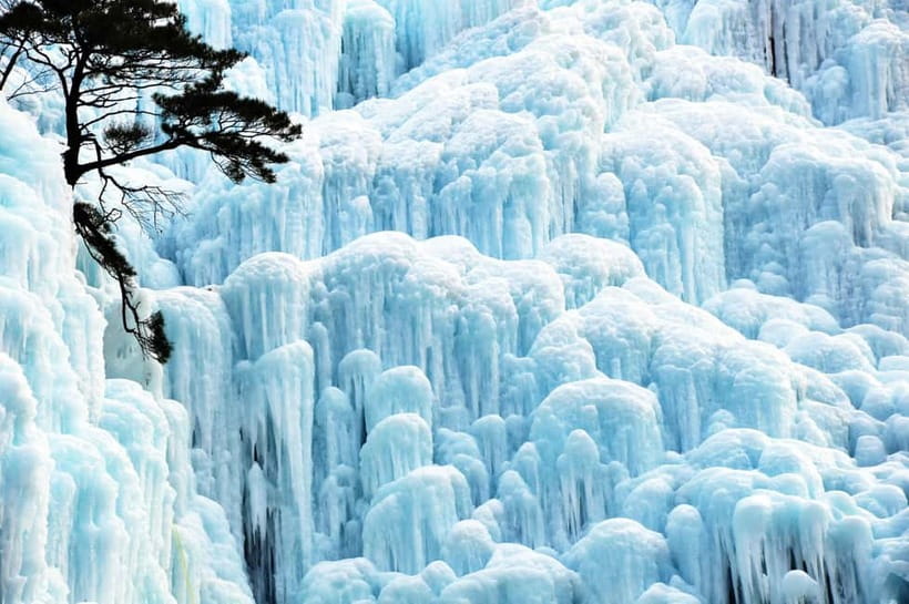Busan: Cheongsong Ice Valley, Pohang Space Walk & Gyeongju - Who should book this experience?