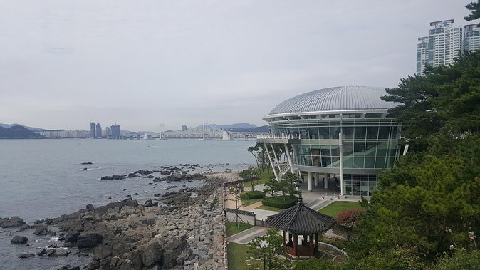 Busan city tour from Seoul by KTX bullet train - Jagalchi Market: Busan’s seafood identity