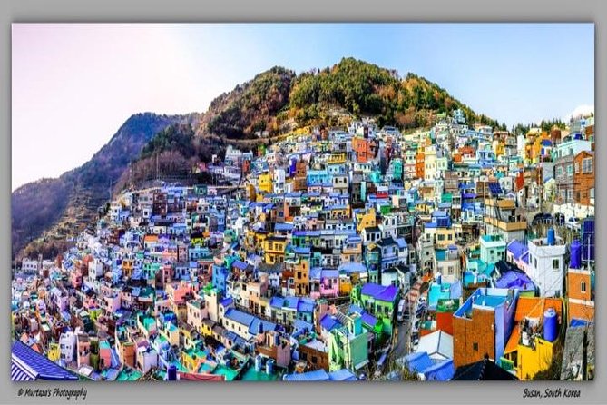 Busan City Tour Including Gamcheon Culture village and Haedong Yonggungsa Temple - Lunch and the Practical Value of the Private Vehicle