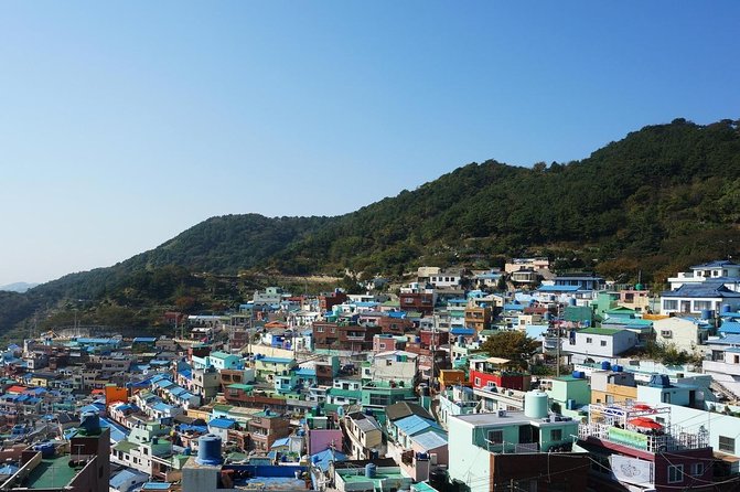 Busan Coastal Charm & Culture: Gamcheon Village & opt Sky Capsule - Key points at a glance