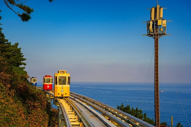 Busan Coastal Charm & Culture: Gamcheon Village & opt Sky Capsule - Why this Busan day tour works