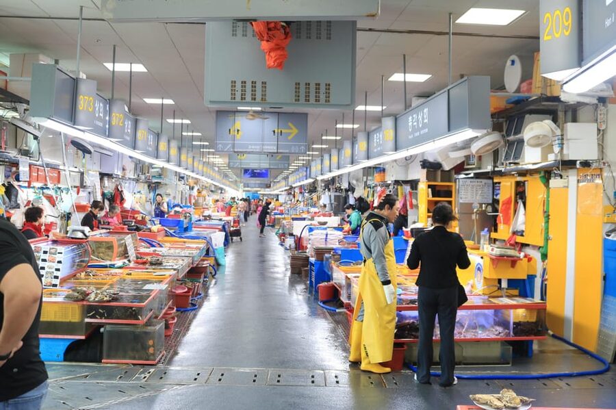 Busan: Customized Private Busan Tour with Licensed Guide - Transport, timing, and group comfort