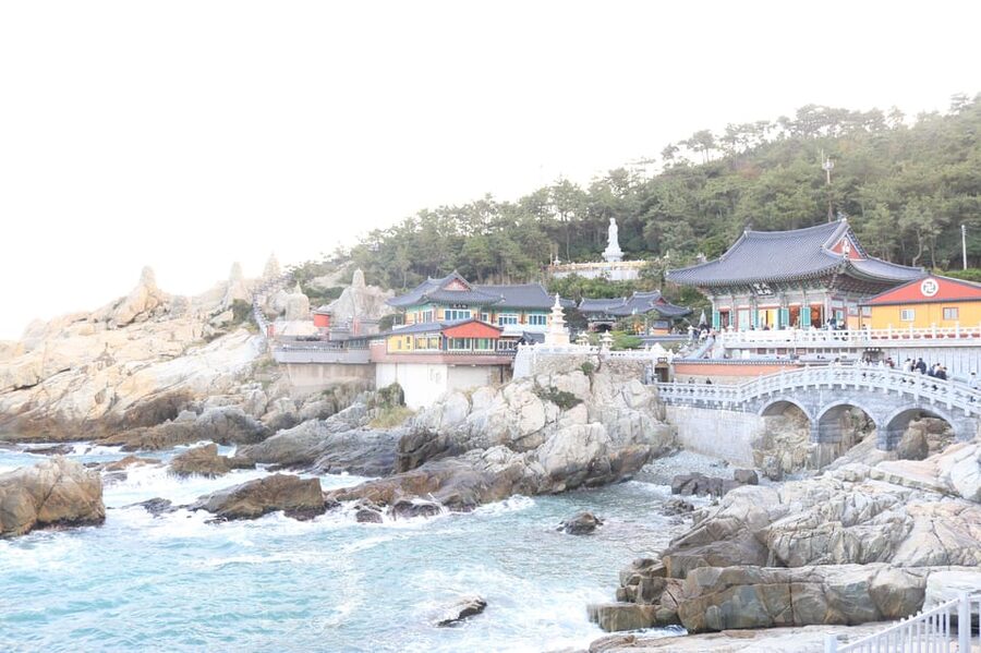 Busan: Customized Private Busan Tour with Licensed Guide - What the $545 private rate really buys