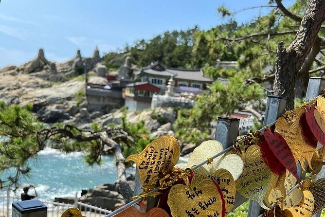 Busan Day Trip from Seoul by KTX - Private Tour with Local Guide - Samik Beach Apartments and the cherry blossom window
