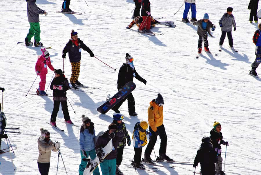 Busan: Eden Valley Resort Winter Ski Snowboard Sled Day Tour - What the one-hour beginner lesson covers
