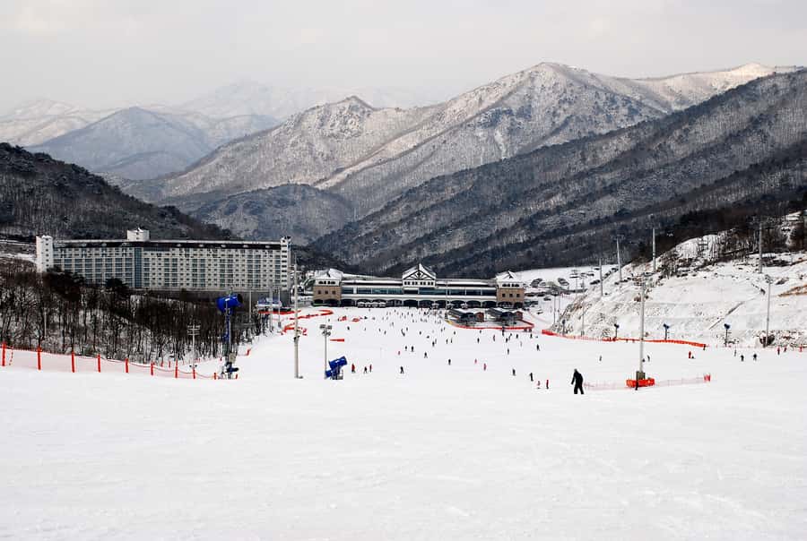 Busan: Eden Valley Resort Winter Ski Snowboard Sled Day Tour - The beginner slopes and snowy views