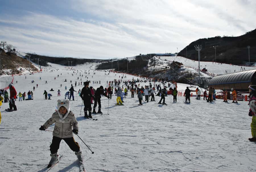 Busan: Eden Valley Resort Winter Ski Snowboard Sled Day Tour - Lunch and the afternoon schedule