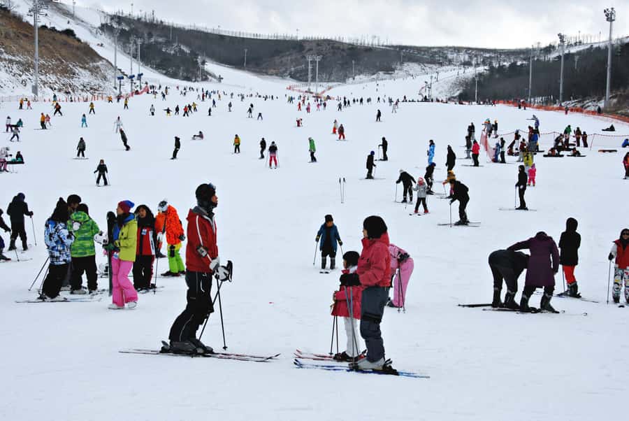 Busan: Eden Valley Resort Winter Ski Snowboard Sled Day Tour - What the $40 price really gives you