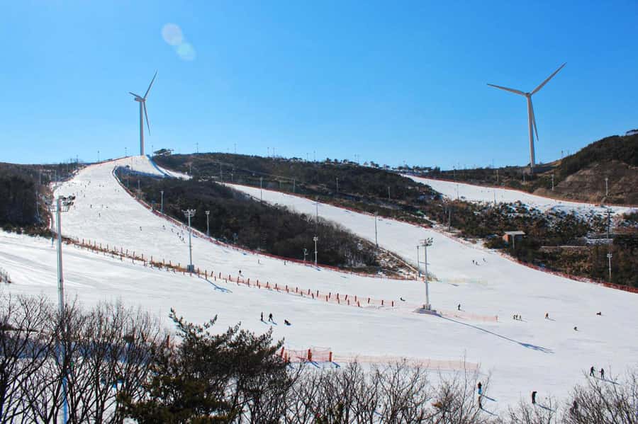 Busan: Eden Valley Resort Winter Ski Snowboard Sled Day Tour - Who will enjoy this tour most