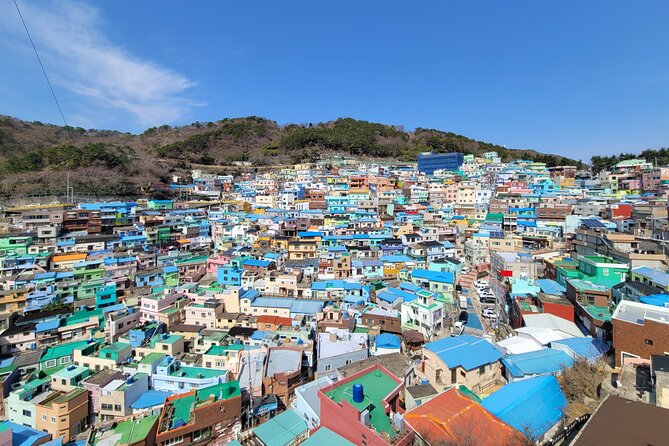 Busan Full-Day Customizable Private Tour in English - Why a private Busan day can be worth the price