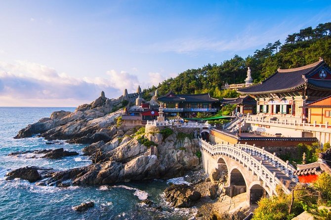 Busan: Fully Customizable Private Tour - Key points to know before booking