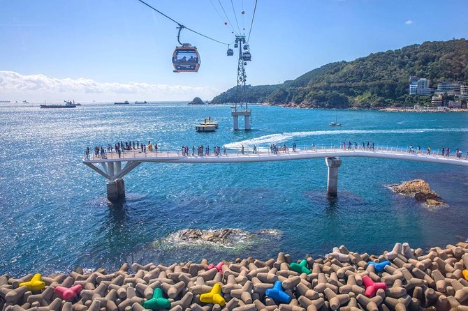 Busan: Fully Customizable Private Tour - Building your route around what you care about