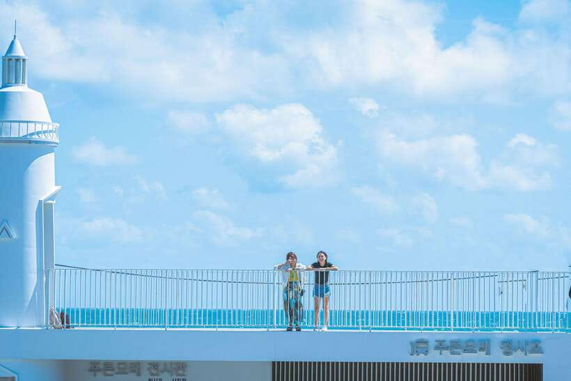 Busan: Gamcheon Village and Haeundae Blueline Park Tour - Is $39 good value?