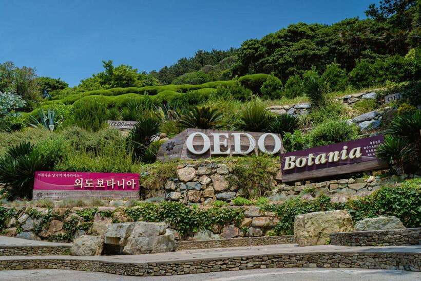 Busan: Geoje Coastal Escape, Sea Breeze, Oedo Botania Island - Why Geoje makes a smart day trip from Busan