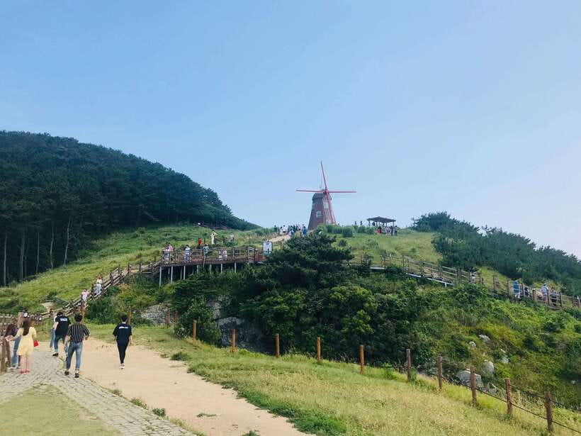 Busan: Geoje Coastal Escape, Sea Breeze, Oedo Botania Island - Food, comfort, and what to pack