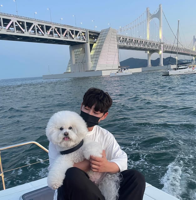 Busan: Group Sightseeing Yacht Cruise with Snacks and Drinks - Key Details Before You Book