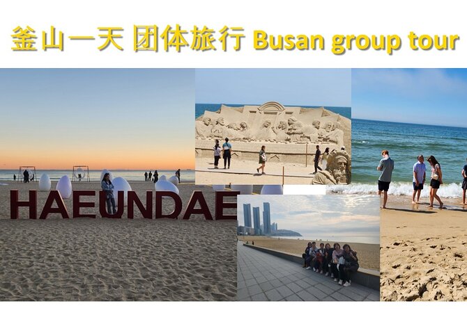 Busan Group Tour for Cruise ship passengers (Max 12 Guests) - BIFF Square for street food and film culture