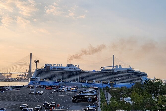 Busan Group Tour for Cruise ship passengers (Max 12 Guests) - Cheongsapo Daritdol Skywalk in 30 minutes