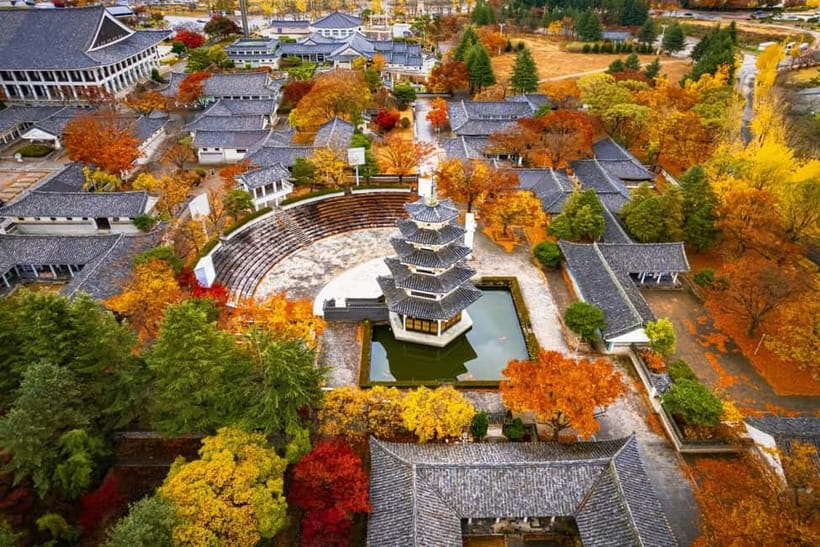 Busan: Gyeongju Autumn Foliage Day Tour with Historic Sites - Key points to know before booking