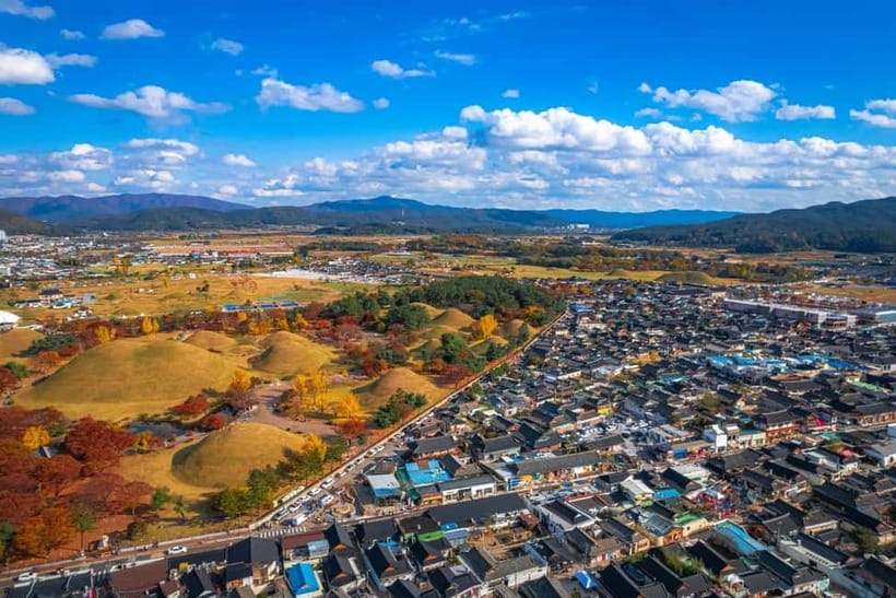 Busan: Gyeongju Autumn Foliage Day Tour with Historic Sites - Who should book this Gyeongju outing