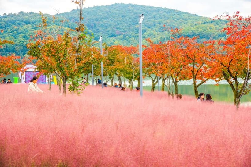 Busan: Gyeongju Autumn Foliage Day Tour with Historic Sites - Bomun Lake at 10:50AM