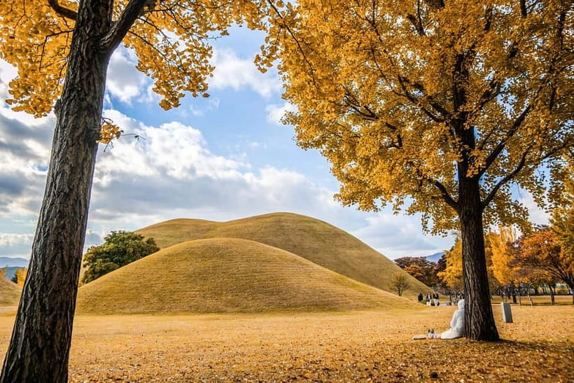 Busan: Gyeongju Autumn Foliage Day Tour with Historic Sites - Free time for lunch beside the lake
