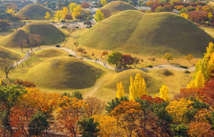 Busan: Gyeongju Autumn Foliage Day Tour with Historic Sites - Autumn streets, tombs, and photo stops