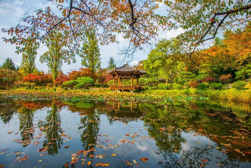 Busan: Gyeongju Autumn Foliage Day Tour with Historic Sites - What the $59 price really covers
