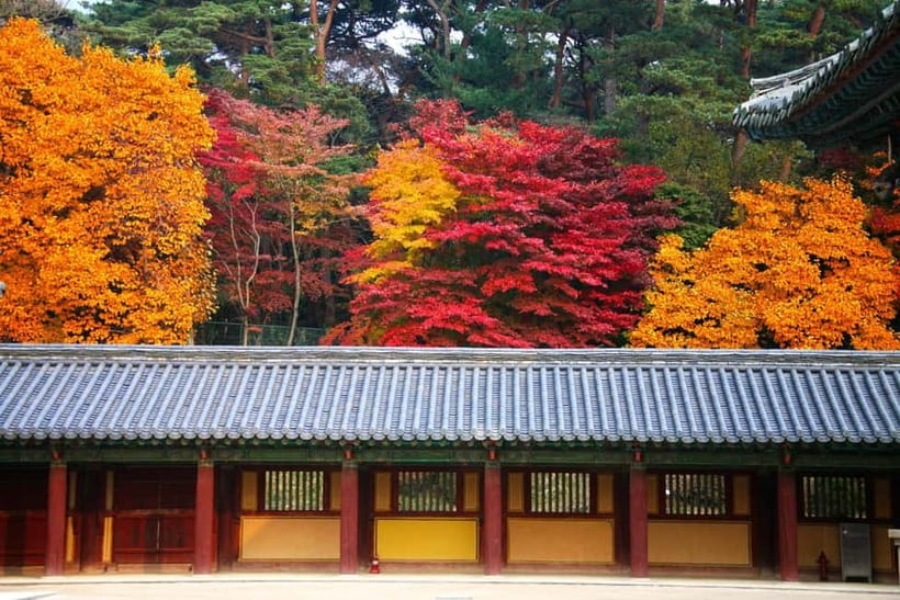 Busan: Gyeongju Autumn Foliage Day Tour with Historic Sites - Weather, foliage, and possible itinerary changes