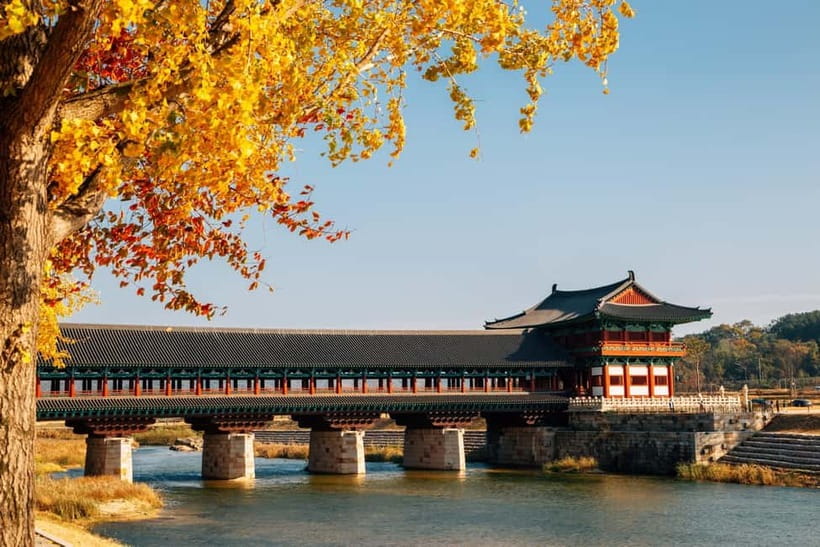 Busan: Gyeongju Autumn Foliage Day Tour with Historic Sites - The ride from Busan to Gyeongju