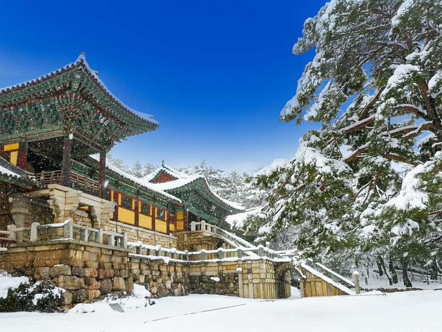 Busan: Gyeongju UNESCO Legacy Tour with National Museum - Why Gyeongju deserves a full day from Busan