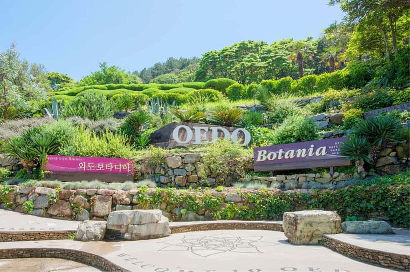 Busan: Hidden Gem Geoje & Oedo Botania Island & Cable car - Dojangpo Ferry and Haegeumgang Lion Rock