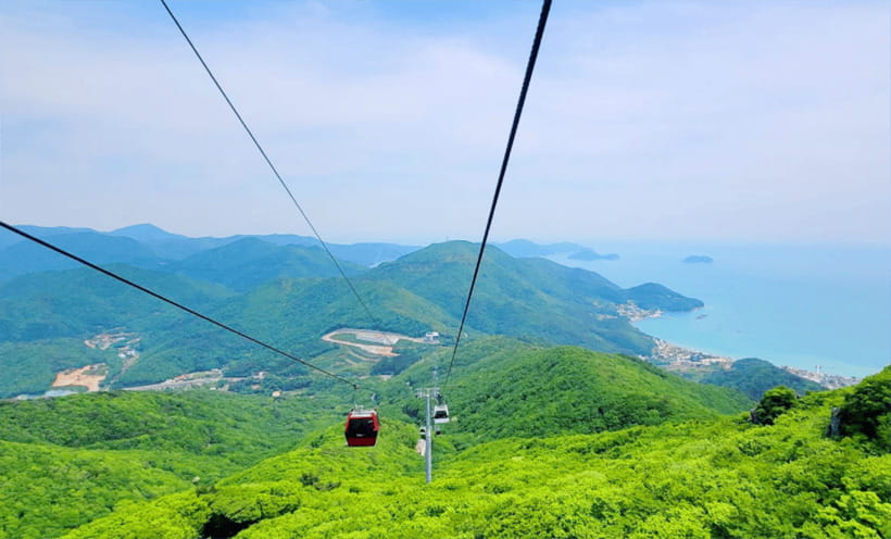 Busan: Hidden Gem Geoje & Oedo Botania Island & Cable car - Two hours among the gardens of Oedo Botania