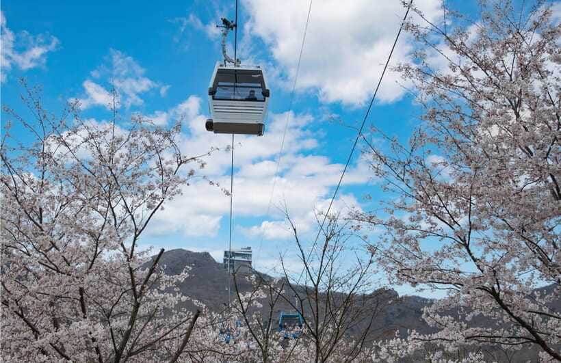 Busan: Hidden Gem Geoje & Oedo Botania Island & Cable car - Returning by ferry and stopping at Windy Hill