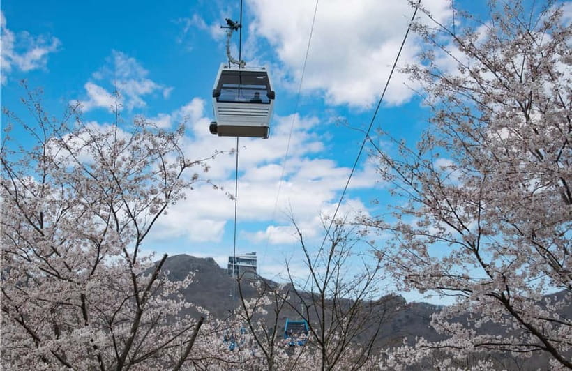 Busan: Hidden Gem Geoje & Oedo Botania Island & Cable car - The 100-minute ride into South Gyeongsang Province