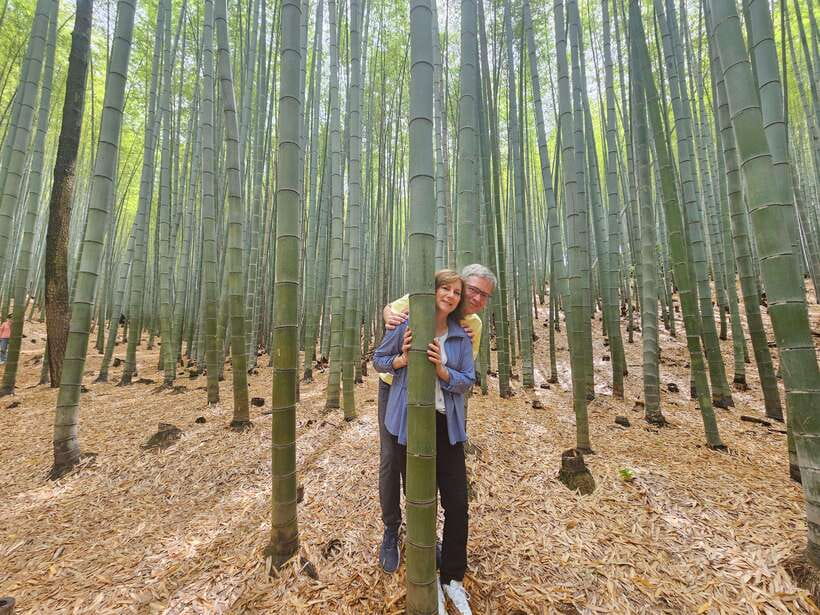 Busan: Hidden Gems Private Tour with a Certified Guide - Why this private Busan tour is different