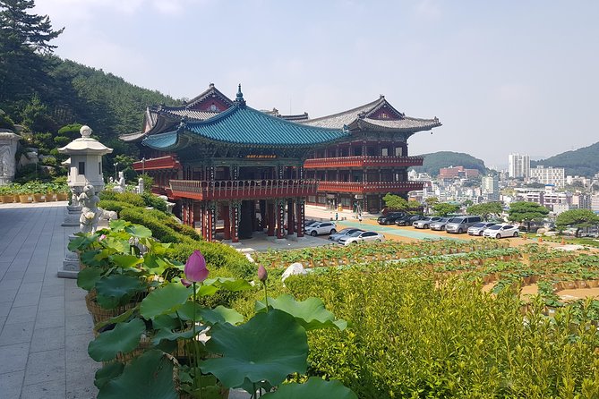 Busan Highlights Shore Tour – Cruise Return Assured - BIFF Square and Gukje Market tell Busan’s story
