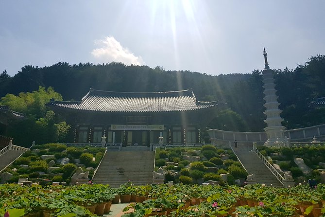 Busan Highlights Shore Tour – Cruise Return Assured - Samgwangsa Temple ends on a peaceful note