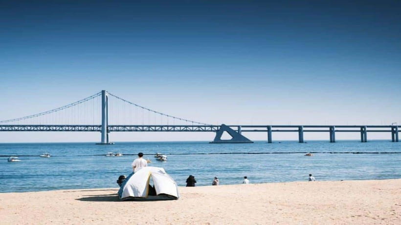 Busan: Jagalchi Market & Gamcheon village Walking Tour - Starting in Gamcheon Culture Village