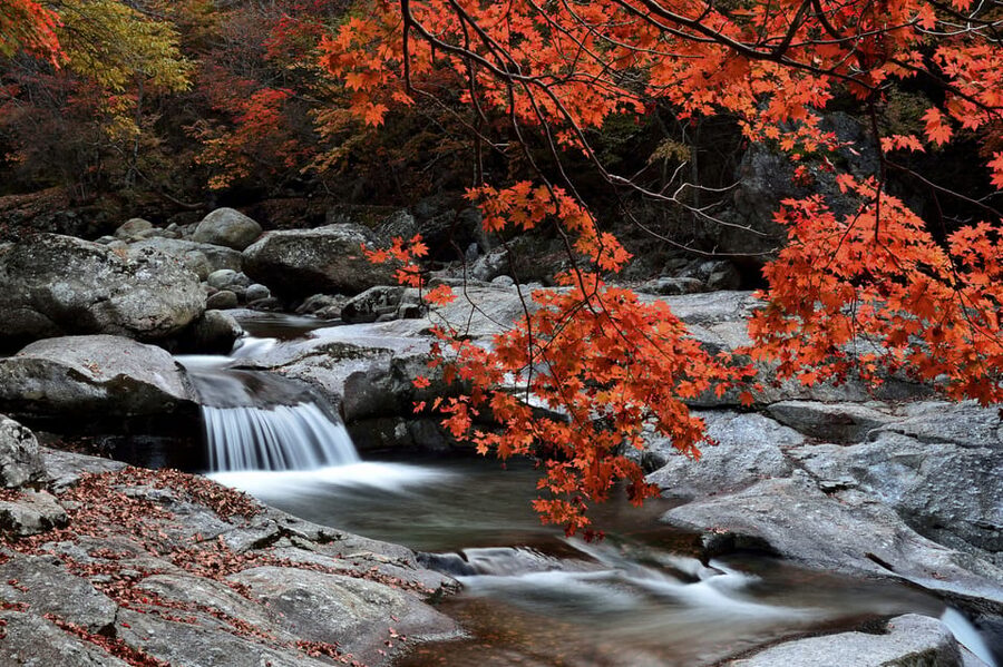 Busan: Mt. Jiri or Juwangsan Park Autumn Foliage Day Tour - Walking Baemsagol Valley in Mt. Jirisan