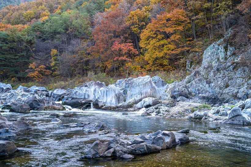 Busan: Mt. Jiri or Juwangsan Park Autumn Foliage Day Tour - What the self-guided format means