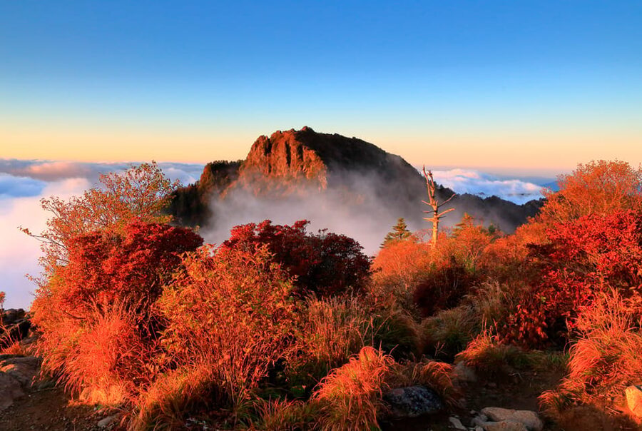 Busan: Mt. Jiri or Juwangsan Park Autumn Foliage Day Tour - Autumn timing, weather, and crowds