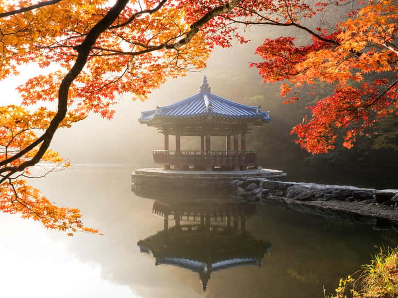 Busan: Naejangsan National Park Autumn Foliage One Day Tour - Walking Toward Naejangsa Temple