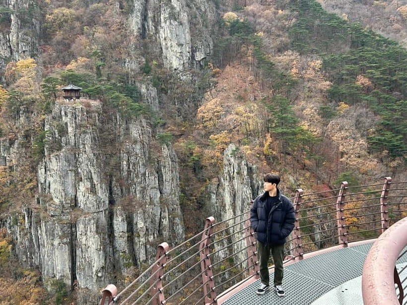 Busan: Naeyeonsan Mountain Hike with Makgeolli Brewing - Should you book the Naeyeonsan and makgeolli tour?