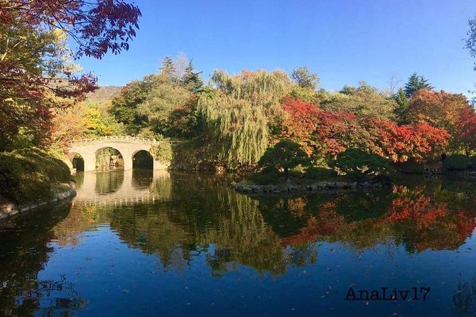 Busan Premium Full-Day Tour - Haedong Yonggungsa brings Buddhism to the shoreline