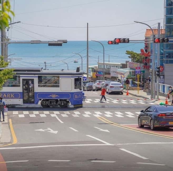 Busan: Private Chartered Car Tour - Key points to know before booking